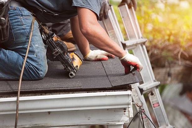 Best Roof Gutter Cleaning  in Ripon, CA
